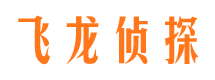 昔阳飞龙私家侦探公司